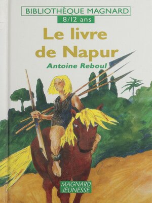cover image of Le livre de Napur